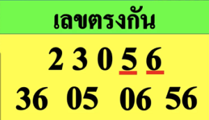 เดลินิวส์ - คู่มือเสี่ยงโชค 16/06/65