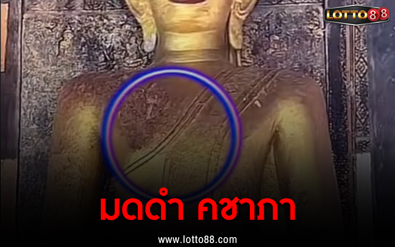 มดดำ คชาภา 01/09/65
